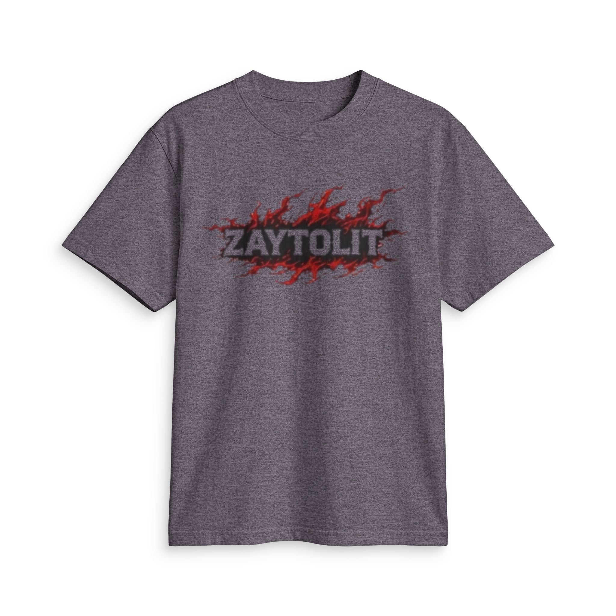 ZAYTOLIT Flame Logo T-Shirt — Graphic Fire Back Print